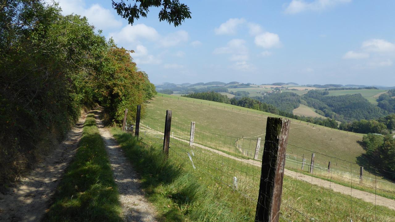 Genießerpension Dopler - Zur schönen Au Bad Schönau Exterior foto